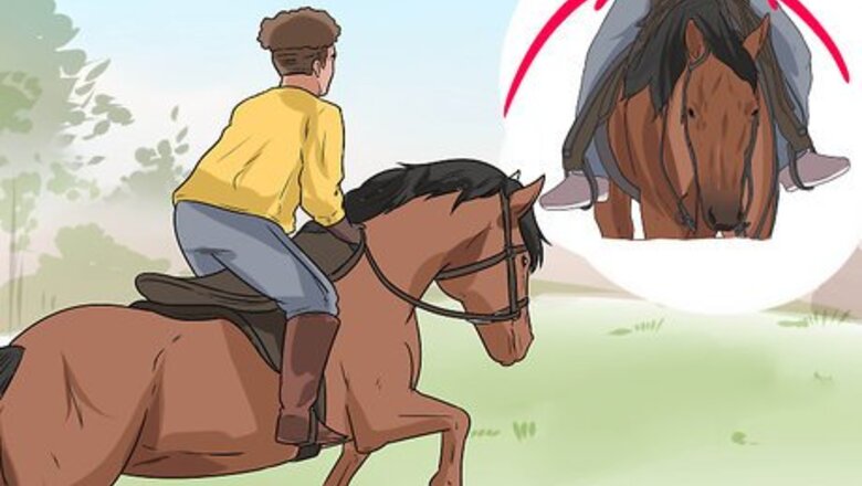 How to React when the Horse You're Riding Starts Galloping Unexpectedly