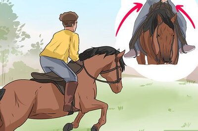 How to React when the Horse You're Riding Starts Galloping Unexpectedly