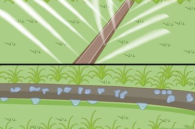 How to Protect Your Garden During a Harsh Summer