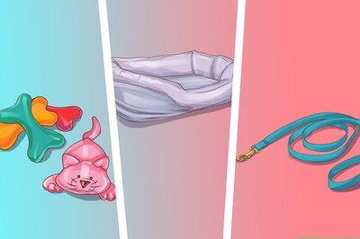 How to Buy Dog Care Products