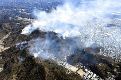 India Has Already Witnessed 3 Big Forest Fires in 2021, Odisha’s Simlipal National Park Latest to Fall Prey