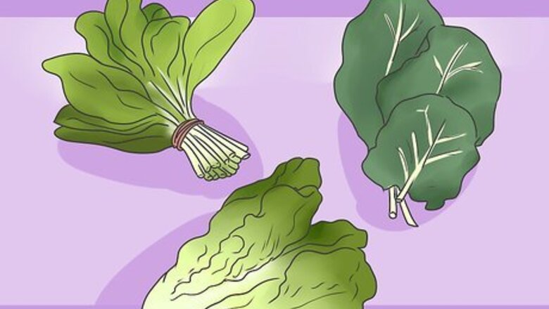 How to Feed Your Rabbit the Right Greens