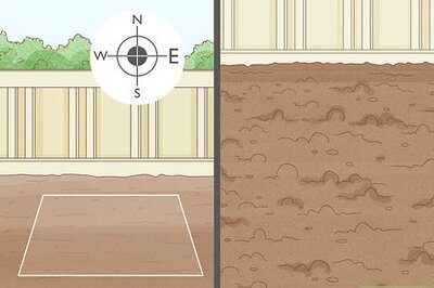 How to Plant