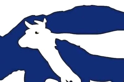 Brain Teaser Alert: How Many Animals Can You Spot In This Classic Puzzle?