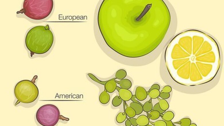 Gooseberries: What They Taste Like, How to Serve Them, and More