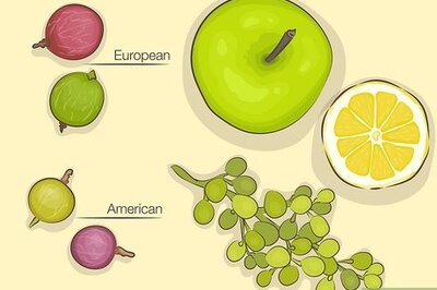 Gooseberries: What They Taste Like, How to Serve Them, and More