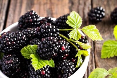 Rice To Berries, Black Superfoods That Work Wonders For Health