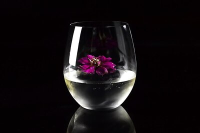 Check Out This Fabulous Gin Cocktail Recipe for the End of Summer