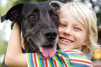 Dogs' Social Skills May Be Linked To Oxytocin Sensitivity