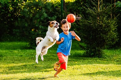 Hide And Seek to Doga: 6 Interesting Ways To Keep Your Pet Physically Active