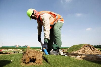 Grass Turned Into Biofuel in a New Research, May Power Aircrafts