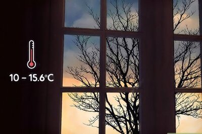 How to Overwinter Tropical Plants