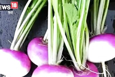 Reasons Why You Must Include Turnip In Your Daily Meal