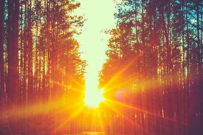 Aaj Ka Panchang, December 22, 2023: Tithi, Vrat, Rahu Kaal, and Other Details