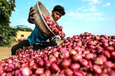 After Farmers Wrote to PM Modi and CM Fadnavis, Maharashtra Govt Announces Rs 200 per Quintal Onion Subsidy