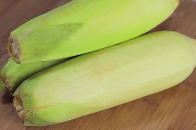 How to Freeze Corn