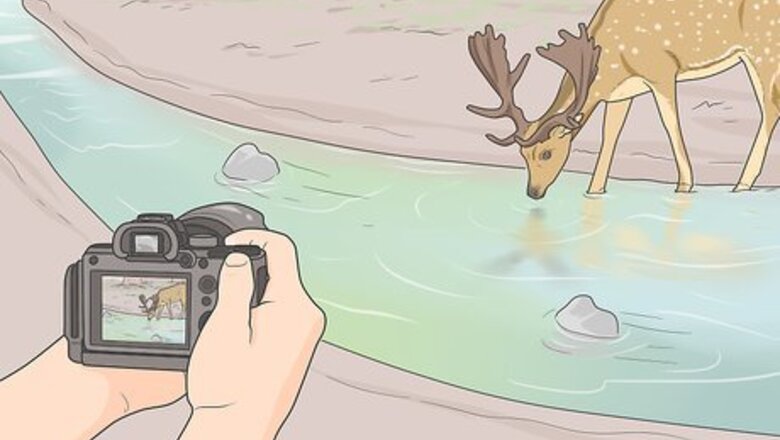 How to Take Good Photos of Nature