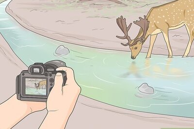 How to Take Good Photos of Nature
