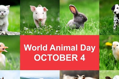 World Animal Welfare Day 2023: Theme, History, Significance, Quotes, and Interesting Facts
