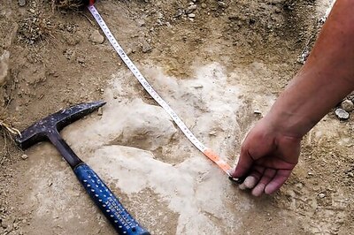 Footprints Show Some Two-legged Dinosaurs Were Agile