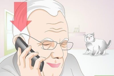 Cat Neutering Basics: Why You Should Castrate Your Cat