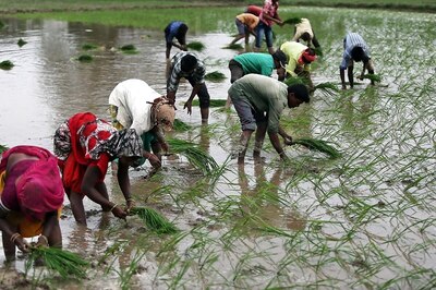 Rice Production Estimated at Record 102.36 Million Tonnes in 2020-21 Kharif Season: Govt