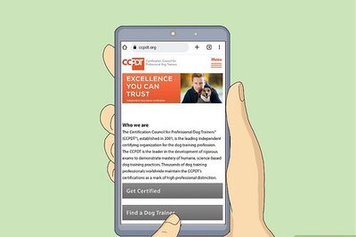 How to Get Your Dog Into a Commercial