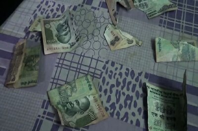 Monkeys Snatch Bag With Rs 2 Lakh in Agra