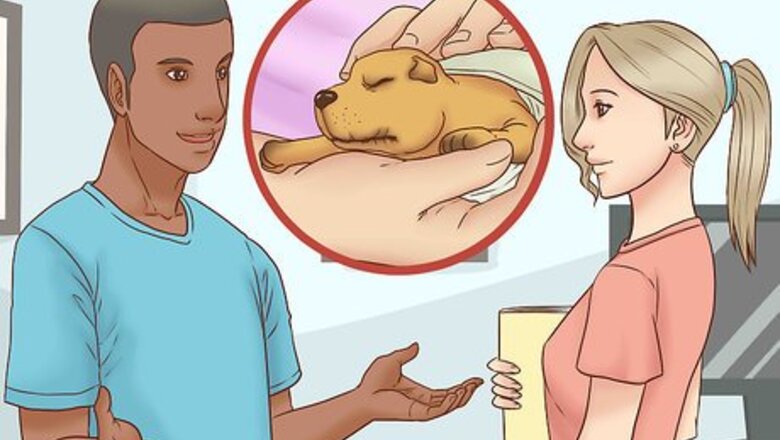 How to Breed Show Dogs