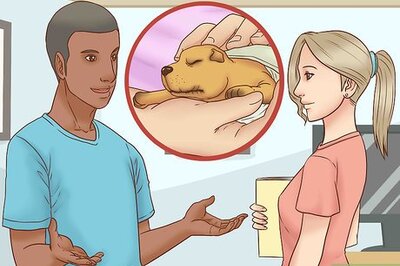How to Breed Show Dogs
