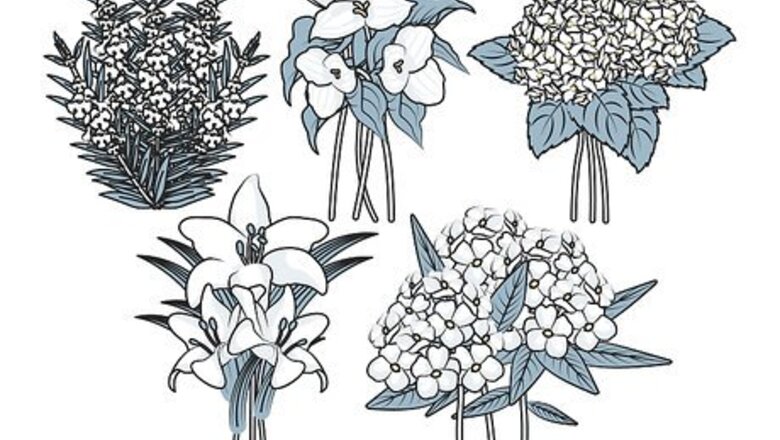 How to Plant a Moonlight Garden