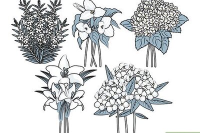 How to Plant a Moonlight Garden