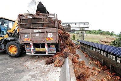 Malaysia and India Aim to Repair Soured Ties that Hit Palm Oil Trade