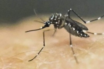 Zika Virus First Case Detected in Karnataka: Know Symptoms and Prevention Tips