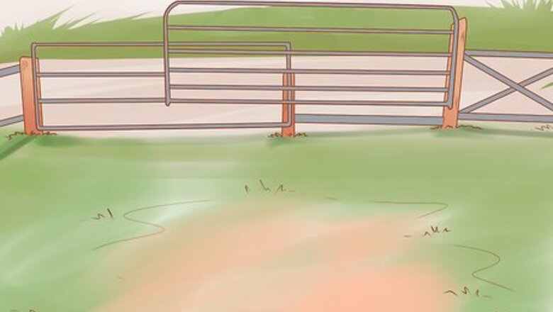 How to Care for Pygmy Goats