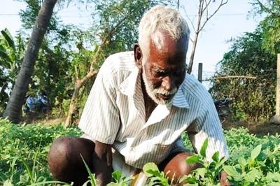 In Tamil Nadu's Villupuram, Farmer Earns Rs 30,000 Per Month With Lettuce Cultivation
