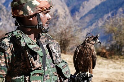 Indian Army's New 'Weapon' is a Bird! How Eagles are Being Trained to Take Down Drones | Explained