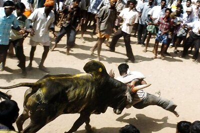 Police Lathicharge Protestors After 'Illegal' Jallikattu