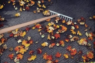 How to Turn Dead Leaves Into Mulch