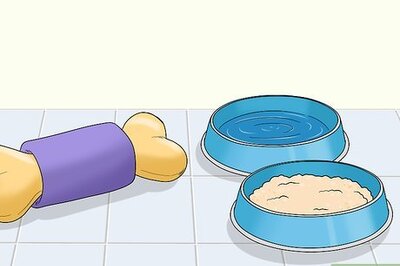 How to Train or Help a Puppy Stop Crying when Locked up or Outside