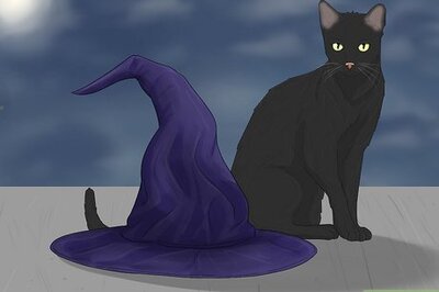 7 Popular Superstitions about Black Cats (and Where They Came From)