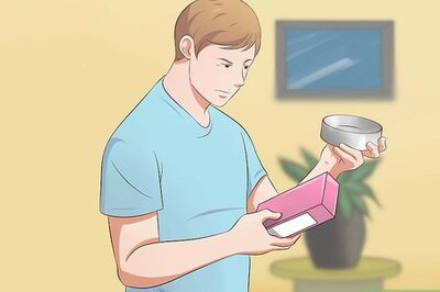 How to Take Care of a Chorkie Puppy