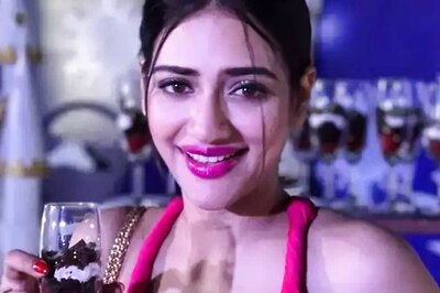 ‘Nusrat Jahan Missing’ Posters Surface in Her Lok Sabha Constituency Basirhat