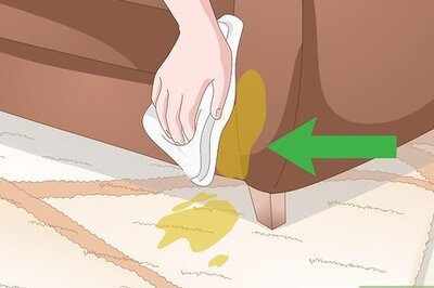 How to Remove Cat Spray