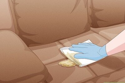How to Remove Cat Spray or Pee from a Leather Couch