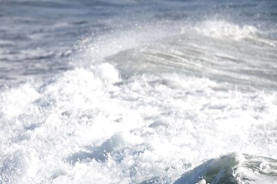 Alaska Earthquake: Three Massive Quakes; Hawaii Under Tsunami Watch | All You Need to Know