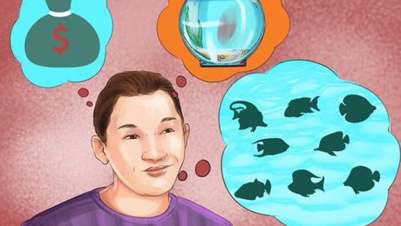 How to Buy Goldfish Tank Mates