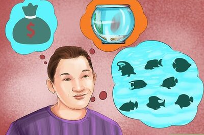 How to Buy Goldfish Tank Mates