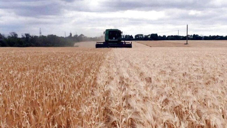 Study Finds New Way To Grow Cereal Crops With Less Fertilizers