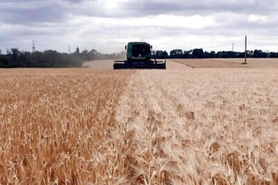 Study Finds New Way To Grow Cereal Crops With Less Fertilizers